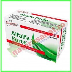 Alfalfa Forte 40 capsule -...