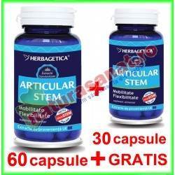 Articular Stem PROMOTIE 60+30 capsule GRATIS - Herbagetica