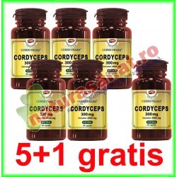Cordyceps 300mg 60 capsule PROMOTIE 5+1 GRATIS - Cosmo Pharm
