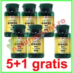 Ginkgo Max Extract 120 mg 60 capsule PROMOTIE 5+1 GRATIS - Cosmo Pharm