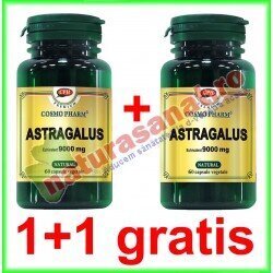 Astragalus Extract 60 capsule PROMOTIE 1+1 GRATIS - Cosmo Pharm