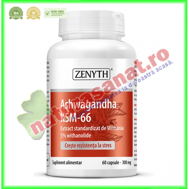 Ashwagandha KSM-66 300 mg 60 capsule - Zenyth - www.naturasanat.ro