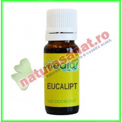 Eucalipt Ulei Odorizant 10 ml - Onedia Distribution - www.naturasanat.ro
