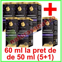 Lavanda Lavandula Angustifolia Ulei Esential Integral PROMOTIE 60 ml la pret de 50 ml (5+1) - Cosmo Pharm - www.naturasanat.ro